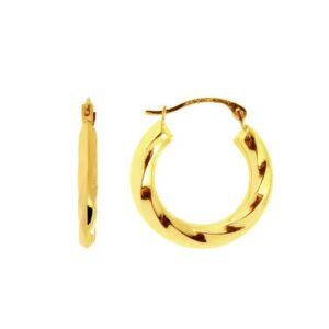 Twisted Hoop Earrings